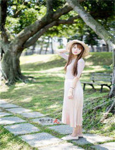 娘道电视剧全集播放