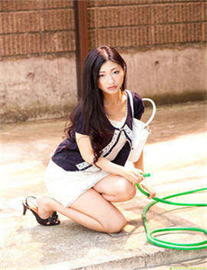 炽道电视剧免费